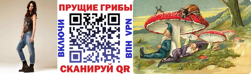 наркошоп  Протвино  Псилоцибиновые грибы мухоморы 